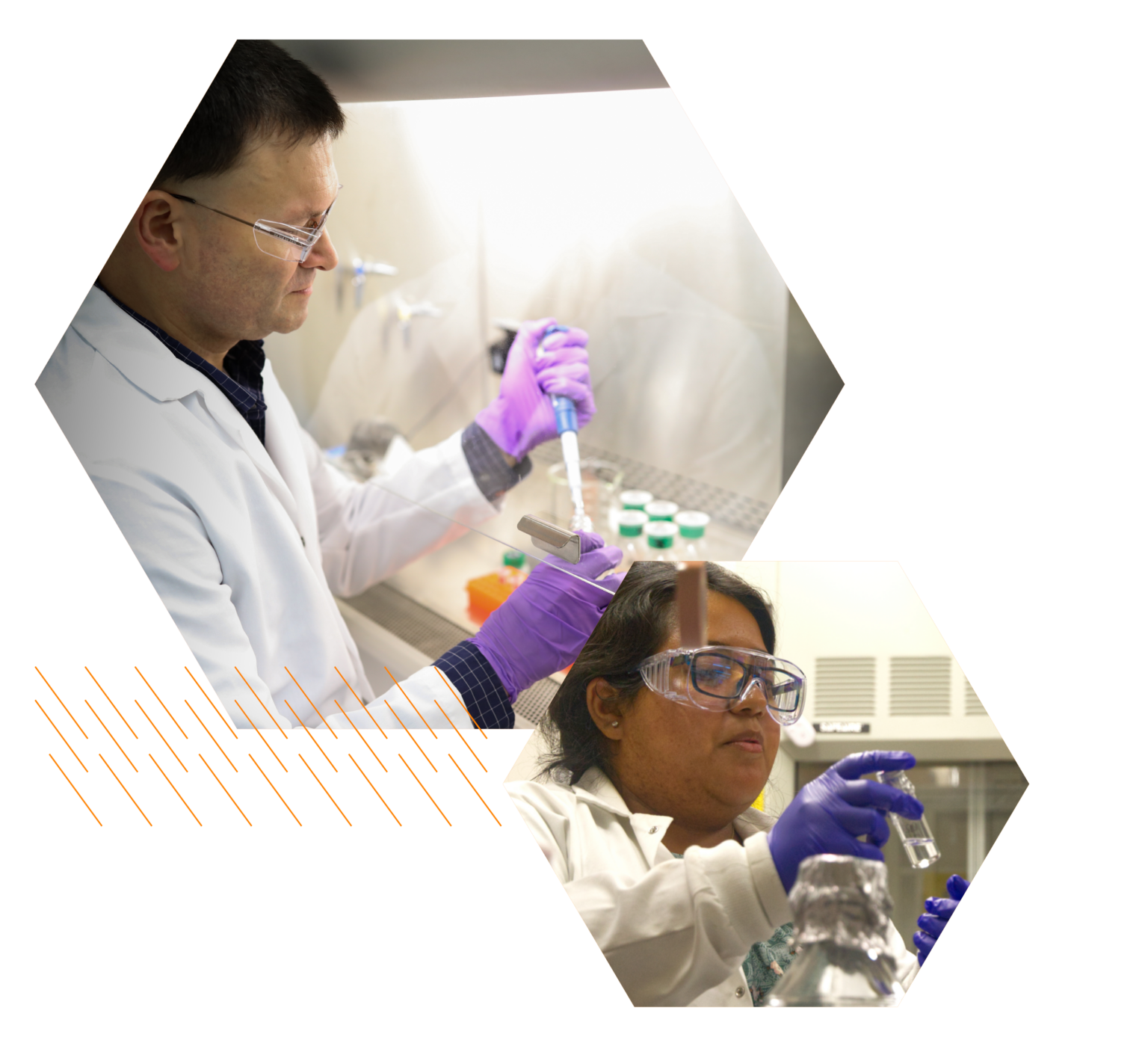 Phd Science Program PHD Programs – UT-Oak Ridge Innovation Institute